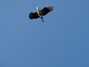 DSCF1398