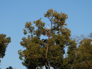 DSCF14161