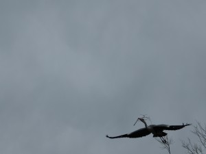 DSCF1534