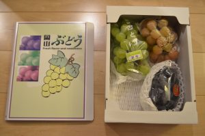 DSC_0766 (2)