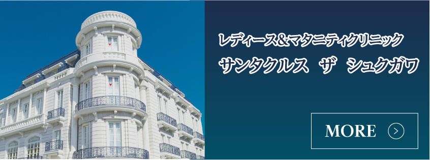 レディース＆マタニティクリニックサンタクルスザシュクガワ外観