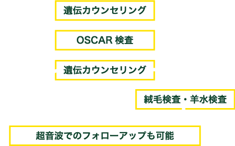 出生前診断の流れ図